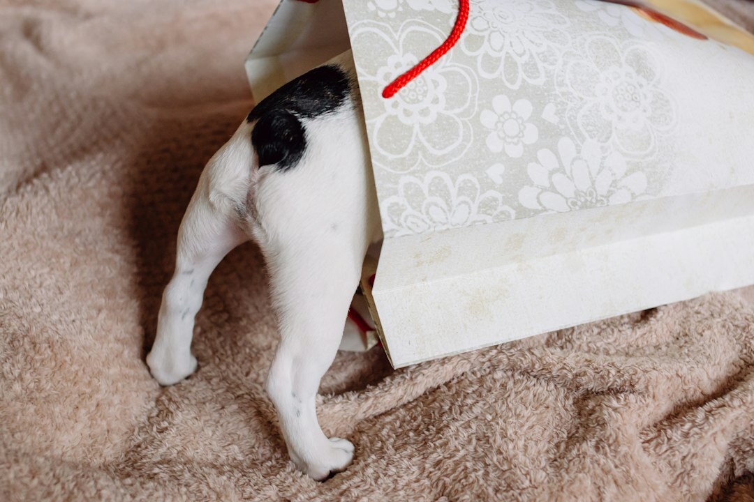 customer hiding product in bag